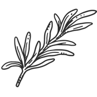 Rosemary